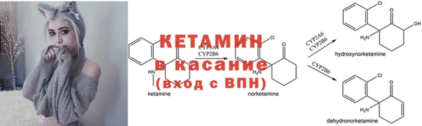 прущие грибы Армянск