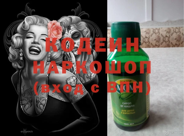 прущие грибы Армянск