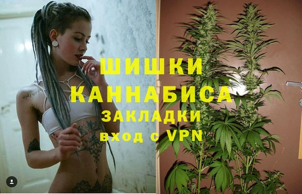 молекула духа Аркадак